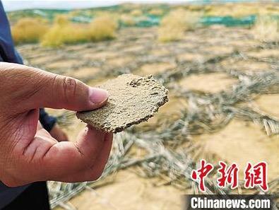 生物礦化固沙技術在國內..應用